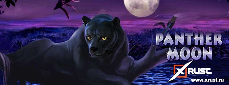 Казино Эльдорадо и новый слот Panther Moon