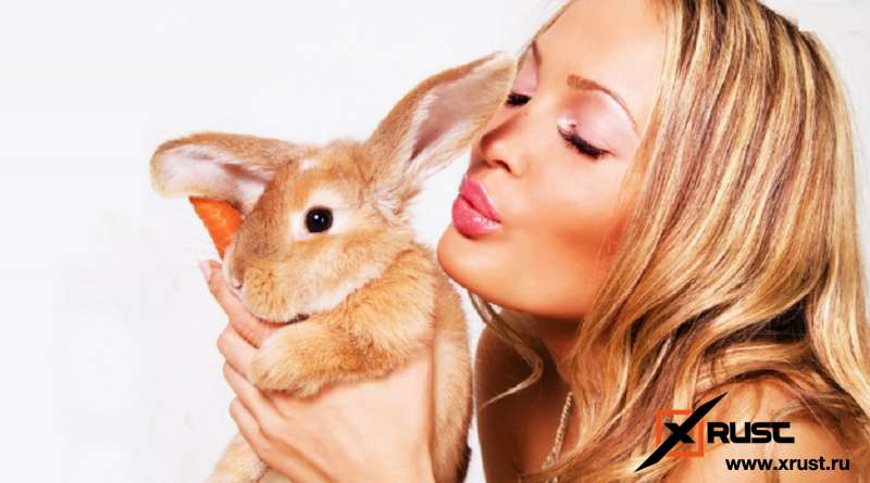 Женщина и оргазм – австрийцы изучили феномен на кроликах