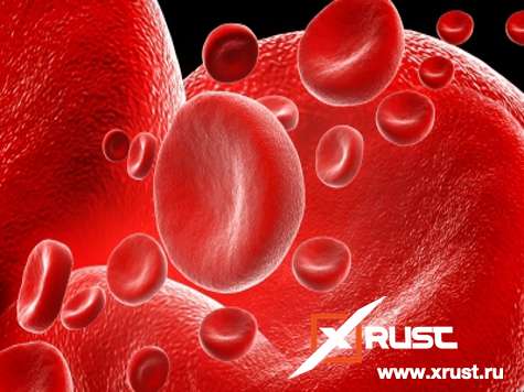 Как группа крови влияет на долголетие