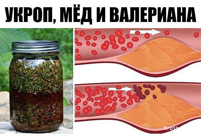 Укроп, мед и валериана