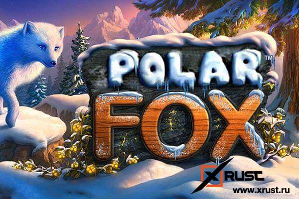 Slots Champion и игровой автомат Polar Fox в казино чемпион