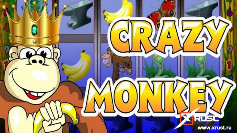 X казино и автомат Crazy Monkey