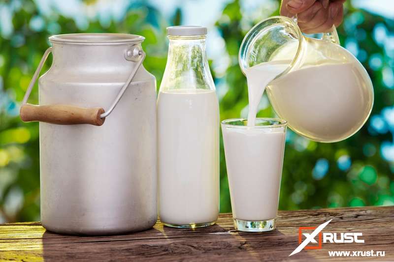 Цельное молоко  в борьбе с  ожирением