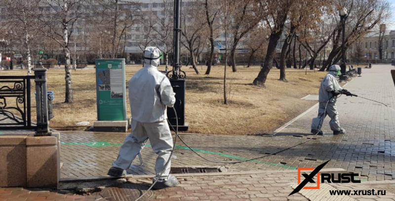 В России разработан способ уничтожения коронавируса