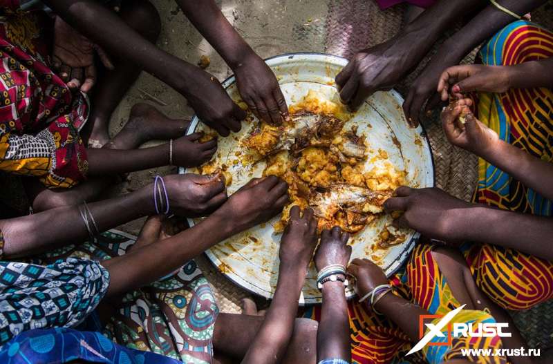 Коронавирус:  миру  грозит голод