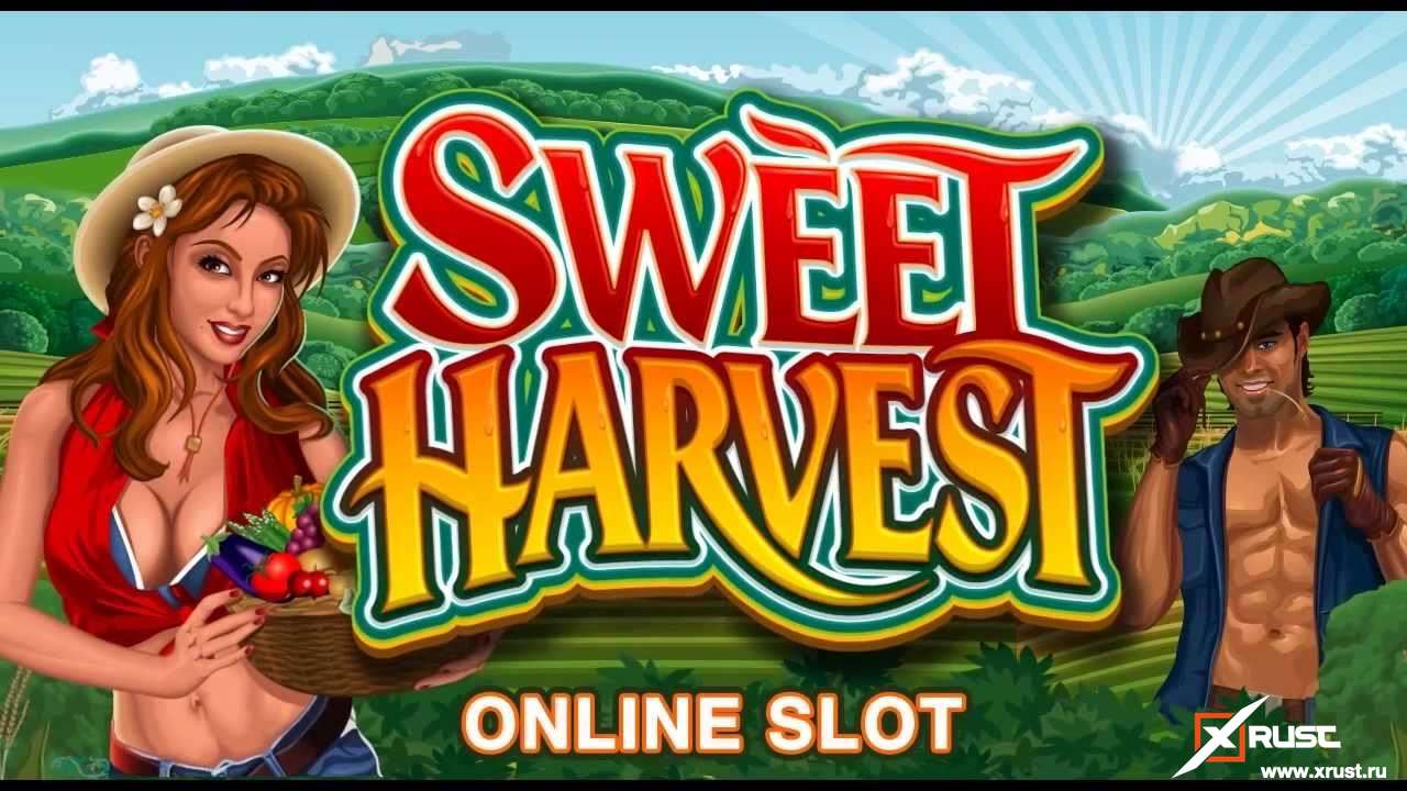 Мобильная версия казино Х или играем в автомат Sweet Harvest на сайте казино-3-топора.com