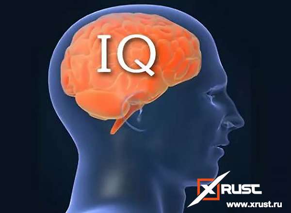 IQ-тесты не отражают уровень интеллекта