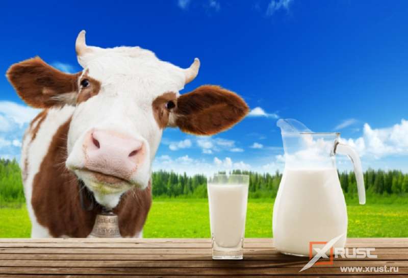 Растительное молоко – насколько полезно?