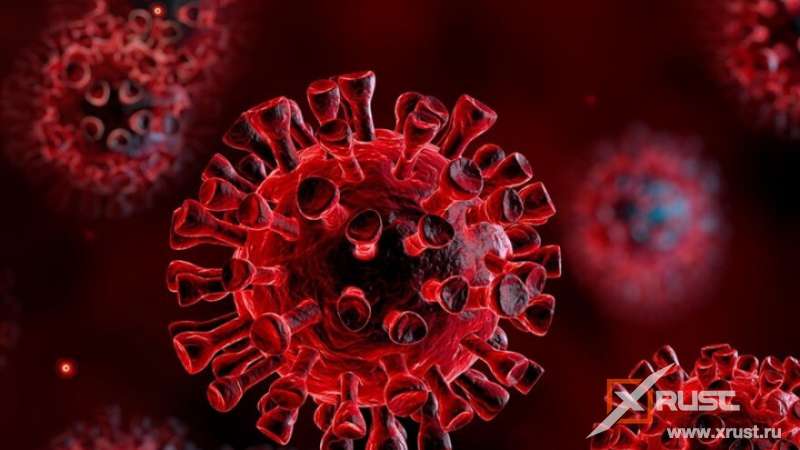 Короновирус: основные признаки инфекции  поменялись