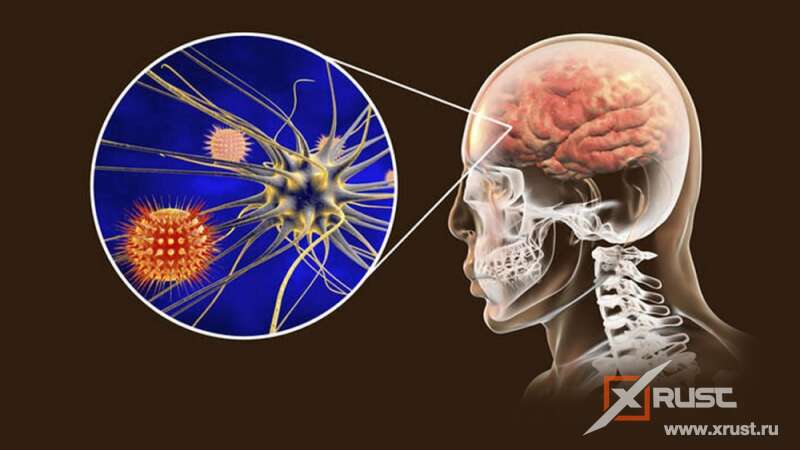 Коронавирус и мозг