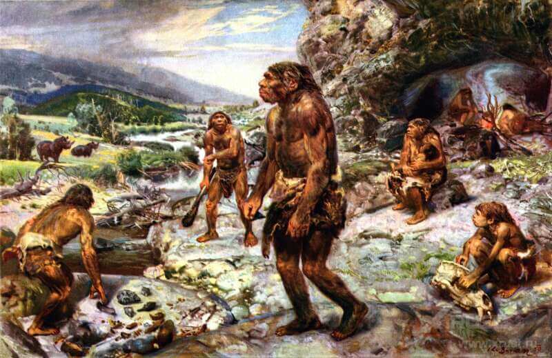 Первый клей создали неандертальцы
